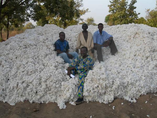 cottonpicker16's tweet photo. Look at all the cotton my Squad and I picked #keepup #nowhipzone http://t.co/NmzJsVN45E