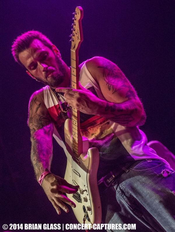 Elementree Livity tweet media