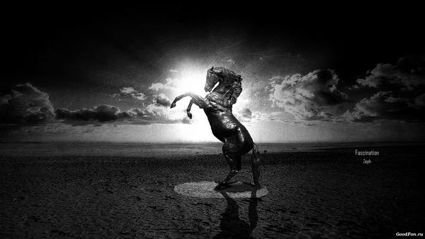 ATIKUR RAHMAN (@atikur124) on Twitter photo 