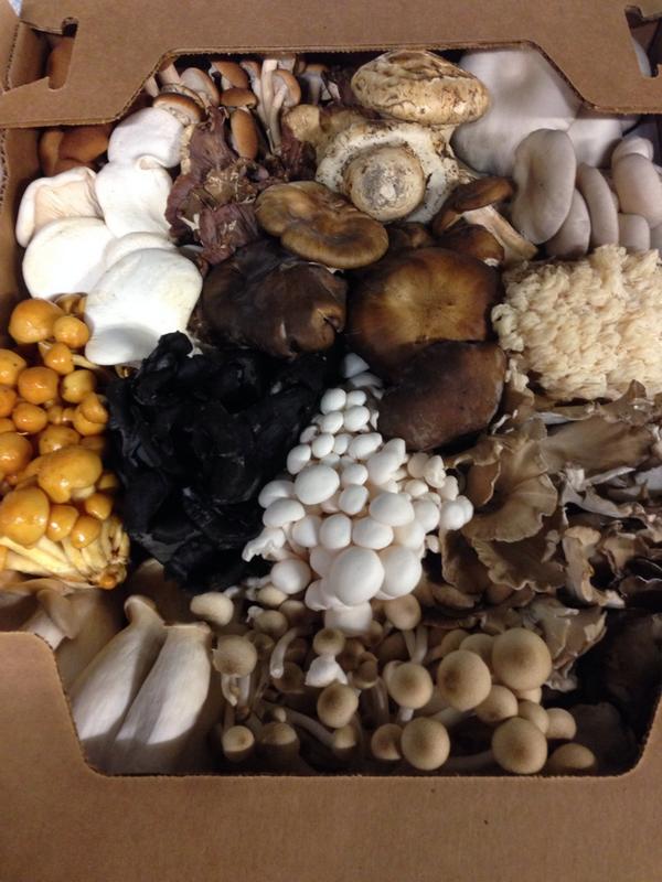 This chefs mix is loaded! It contains almost every wild mushroom available at the moment, and some gorgeous exotics.