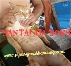 pijatsyariah's tweet image. Udah kerja cape tapi masih di marahin boss.reservasi yuk keburu kepenuhan .relaxkan tubuh anda di rumah anda. #pijat