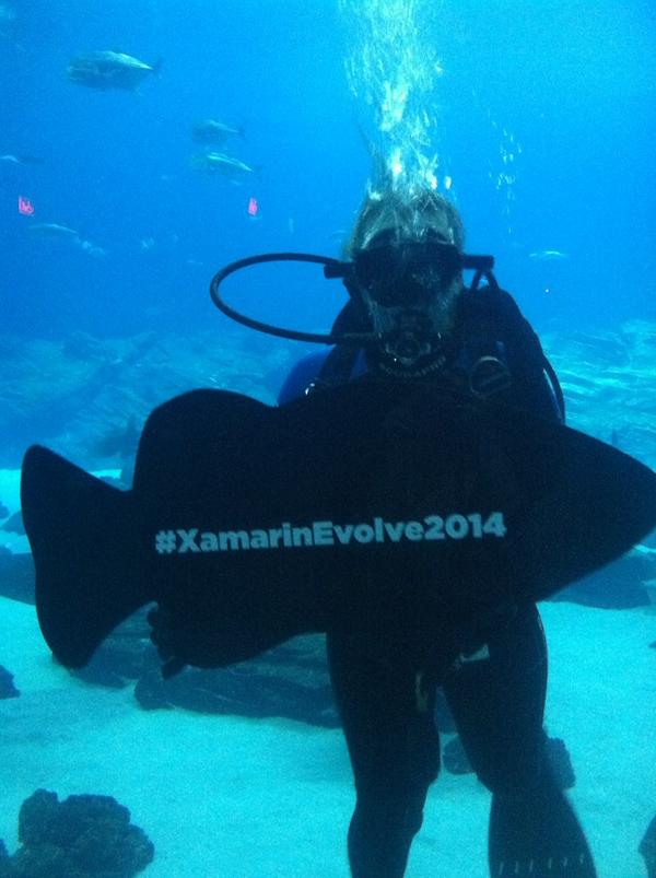 Syncfusion's tweet photo. Ready for day 2! #XamarinEvolve #orangebooth http://t.co/obTaxu2KwF