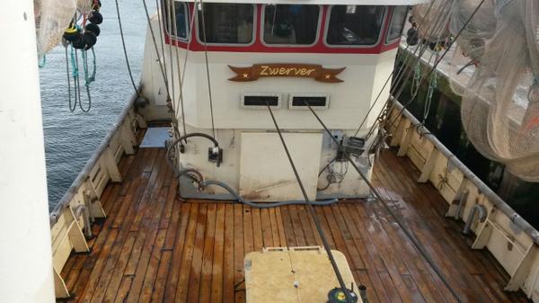 LPostenzonen tweet media