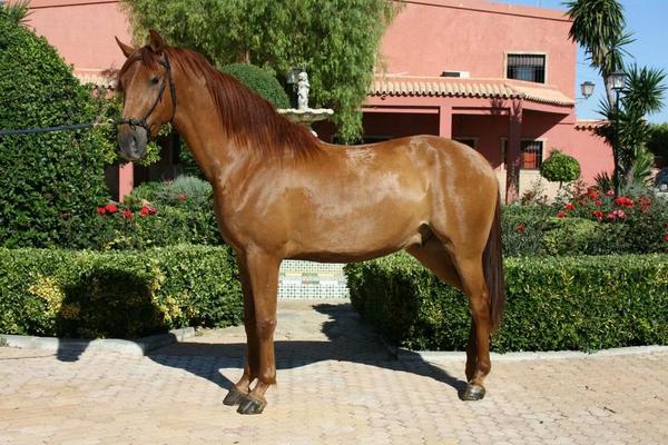muo_martn's tweet photo. Buenos días desde Hacienda Puerta Grande. . http://t.co/iTeSL9NaPI