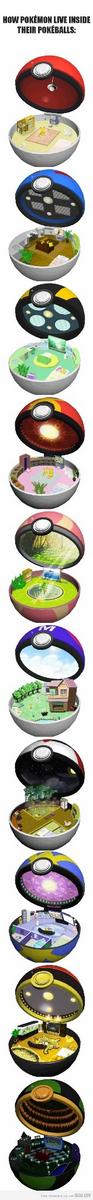 JVFR_OFF's tweet photo. Comment les pokémons vivent dans les Pokéball ? http://t.co/6WSiiTZjbM #ThatISaRealQuestion #CultureJV http://t.co/qfm9Jm4nnV