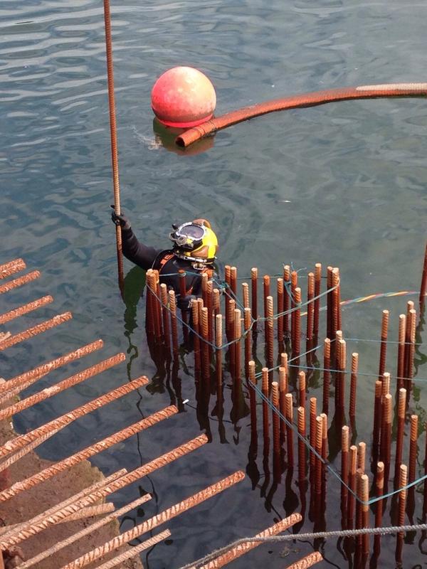 Diver - C. Evans