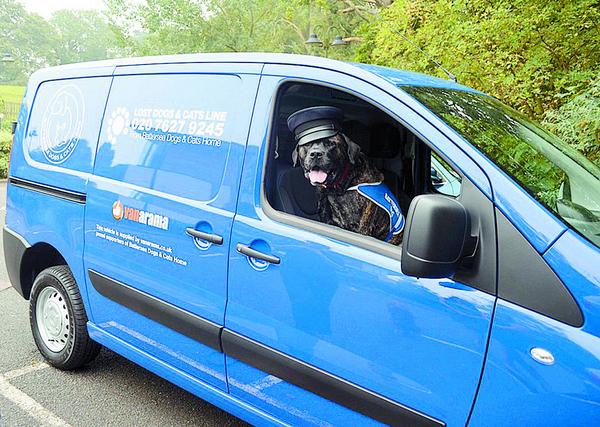 japre's tweet image. Bravo @BDCH. Your PR pics are the best. windsorexpress.co.uk/News/Areas/Win…