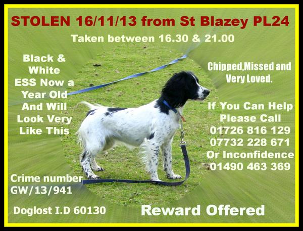 In 6 weeks (well less really) Pup will av been gone a year. Plez help find her b4 then &amp;help her get very hot RT&amp;S xx