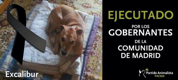 Excálibur: crónica de un crimen anunciado eldiario.es/_12918d9c