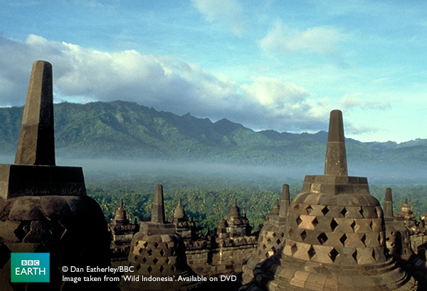 Many theories exist around #Borobudur Temple in #Java, including that it enshrined the burnt ashes of deified kings.
