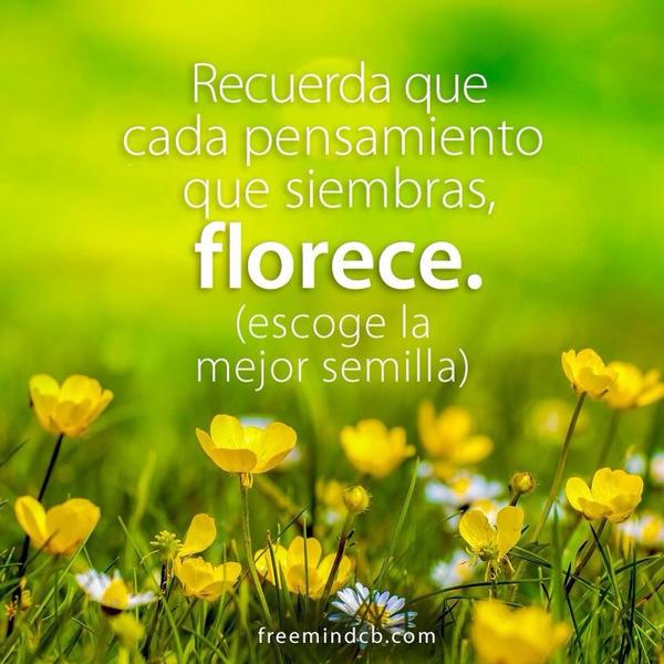 freemindcbve's tweet photo. "La vida es como un catálogo de flores" cuáles vas a sembrar? #BuenosDias #HOY http://t.co/OsifgVakq1