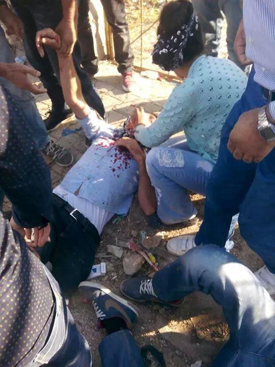 View image on Twitter