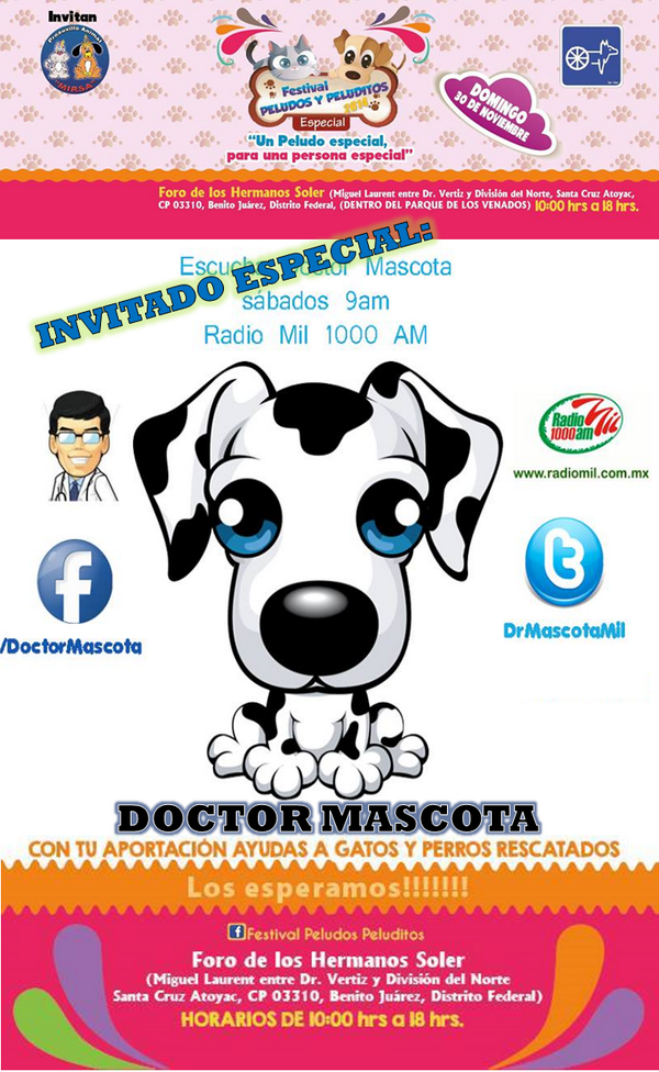 Chinchilla TV (ChinchillaTV_mx) Twitter