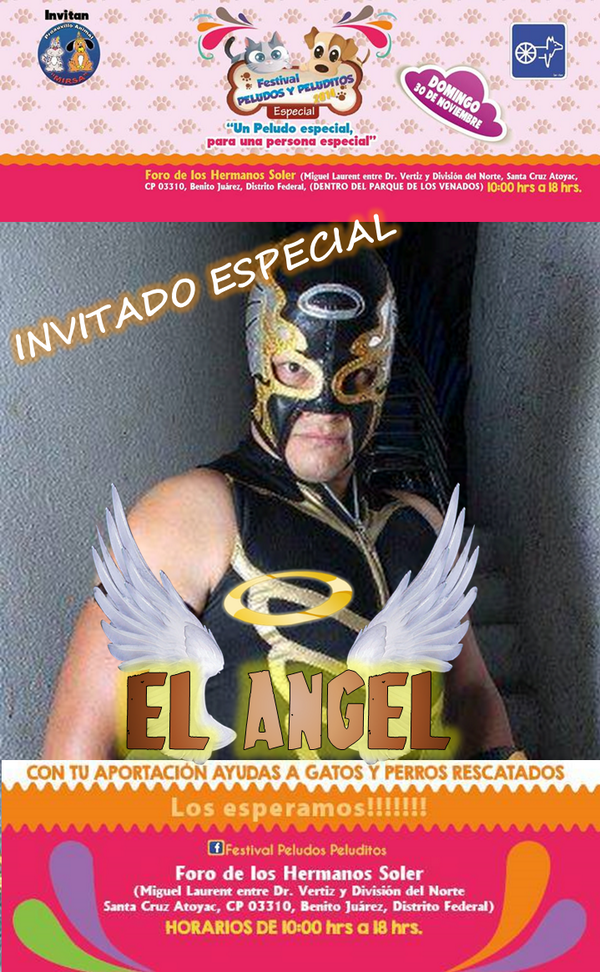 Chinchilla TV (ChinchillaTV_mx) Twitter