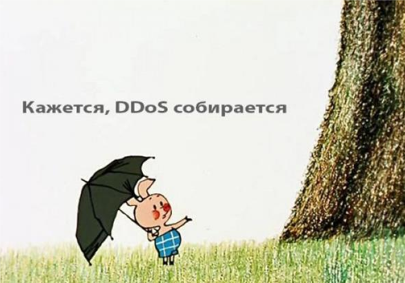 root_seo tweet picture