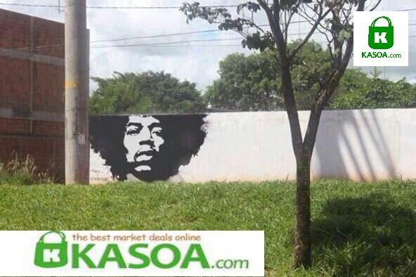 KasoaGH's tweet photo. When #Arts meets #Nature. RT if you like this art. http://t.co/WgprNVqdQi