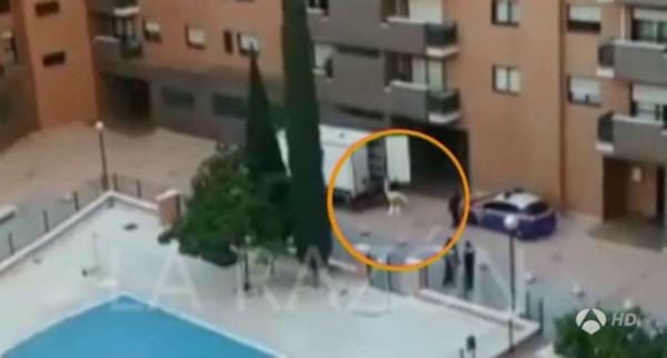 Antena 3 tweet media