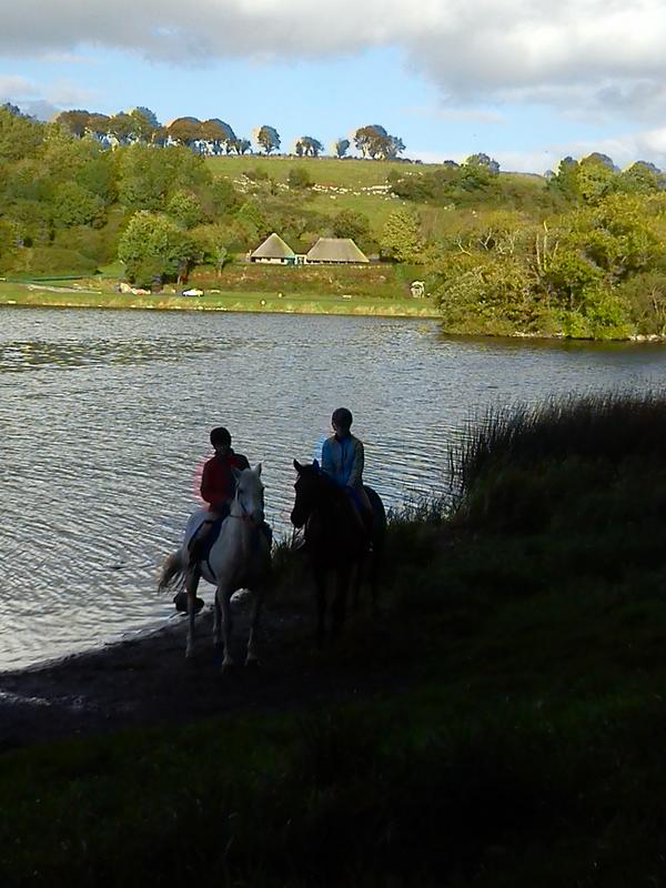 Mary McGrath tweet media