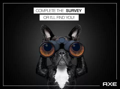 frenchiebilly's tweet image. 