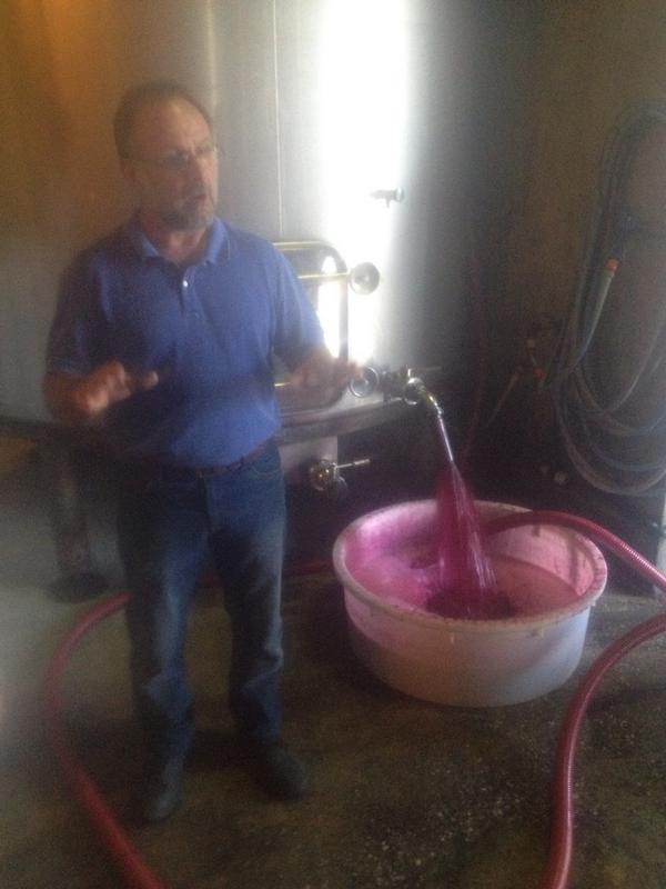 benfleurwine's tweet photo. Little speech at #lestagedarquier with François Bernard, @tedwardwinesnyc and @PatBurkeWine while #racking is on! http://t.co/exhtAEyB7j