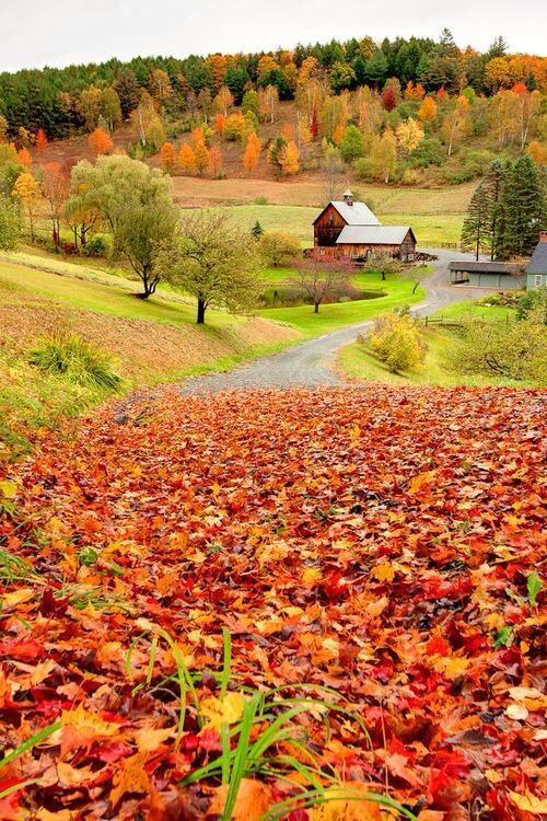 EL OTOÑO SE ACERCA CON MUY POCO RUIDO...* - Página 11 BzhT2D_IIAAui6h