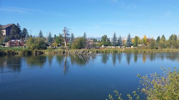 MissTrade's tweet image. Market back in balance get out there and enjoy #mpta #lessismore