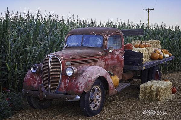 eventsmerced's tweet image. Photographing at a Pumpkin Patch | Merced County Events 

Found at buff.ly/1vY6yNL