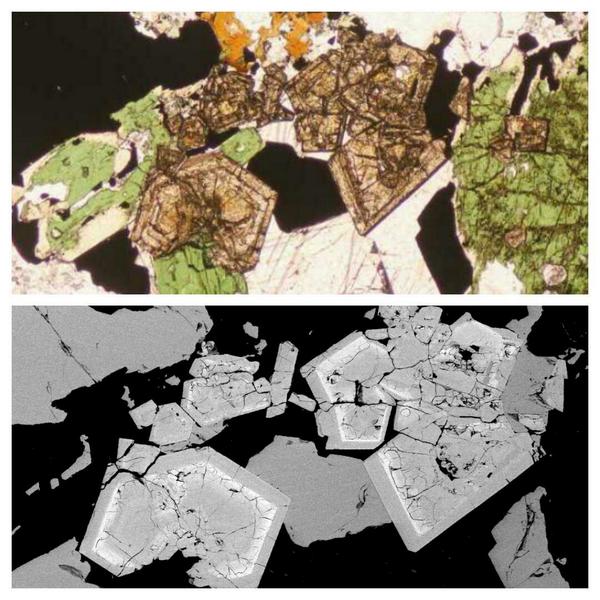 hummingbirdgeo's tweet image. We always like working with alkaline rocks! #Syenite with zoned #pyrochlore, #pyrite &amp;amp; #aegirine #thinsectionthursday