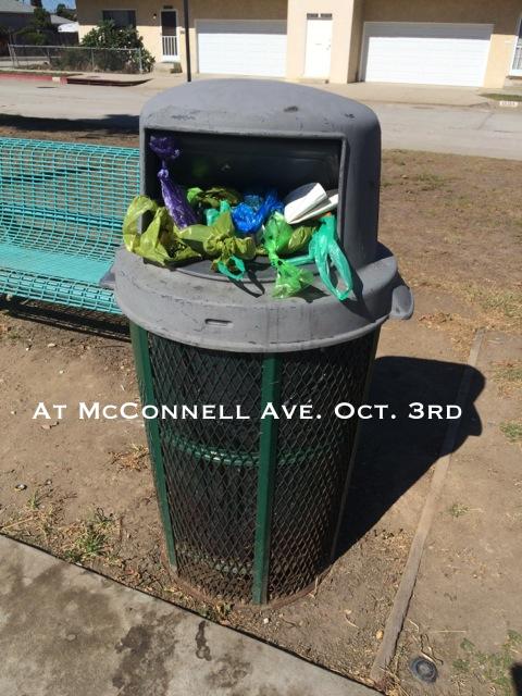 ScottBigbee's tweet image. @mikebonin Culver Blvd Median trash still not attended to.  #BrokenGovernment #KeepDelReyBeautiful Day 2