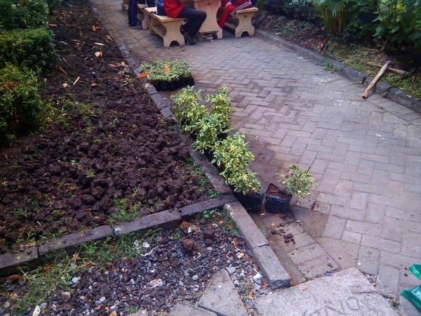 hmplITS's tweet photo. Tanamannya juga sudah siap nih buat ditanam, yuk segera merapat ! #HMPLHijau #RiseUpHMPL #AyoGerak http://t.co/5YaSBeSCPp