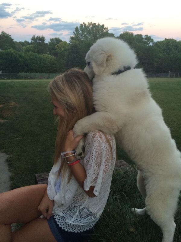MerrettLane's tweet photo. Happy bday to this girl @___Mange___ ππ and #softjoe http://t.co/7V8uEMSZDS