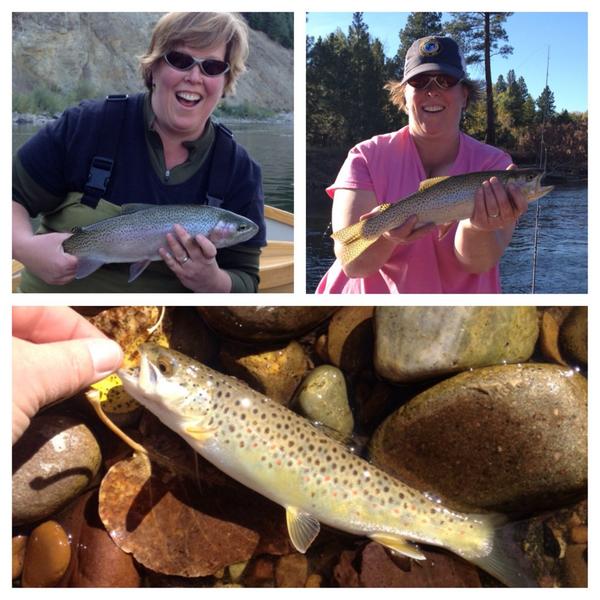 mhwweaver's tweet photo. Fun week in Montana, caught some trout! #flyfishing #trout #hopperdropper #purplehaze http://t.co/aENoyXOudn
