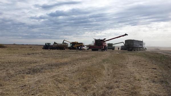 jsfbulls's tweet photo. Donation land done for another year thank you to all that helped out http://t.co/mr0bQckhkn