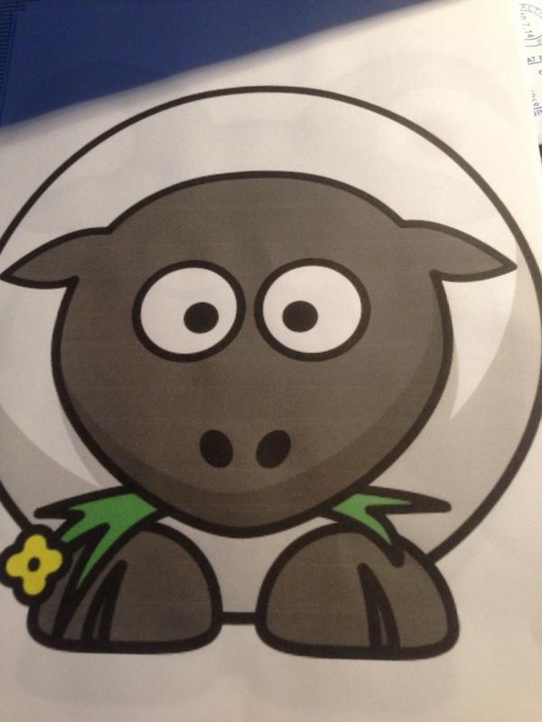 This is Sheridan the sheep. Miserable twat.