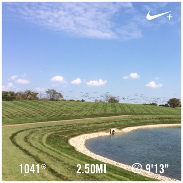 hail_iq's tweet photo. I just ran 2.50 mi @ a 9'13"/mi pace with Nike+. http://t.co/MAZTJFRDzS #nikeplus http://t.co/5Vs86vK5Ng