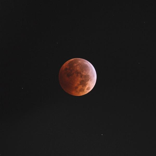 abekislevitz's tweet photo. Caught the moon 2 nights ago! #eclipse #BloodMoon2014 http://t.co/jSs4eocKHX
