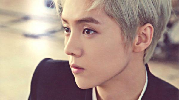 soompi's tweet photo. #SM Entertainment Releases Official Statement Regarding #EXO #Luhan's Lawsuit
http://t.co/2mLy2W08jg http://t.co/ToFqOxkkJC