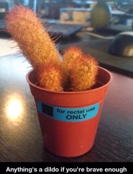 Grumpy_Blaze's tweet image. Haha @FaZeJev