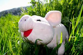 벌써 금요일이네요~ 페친님들 #불금 계획 세우셨나요ㅎㅎ 오늘하루 행복하게!알차게! 보내시구 즐거운 주말 맞이하세요~~ goo.gl/nxlBo1