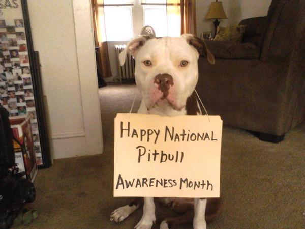 Whats up, you didn't know what Oct. was ???