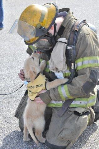 BbAnimalPics's tweet photo. Forever a man’s best friend ❤️ http://t.co/wU7E4kt4zR
