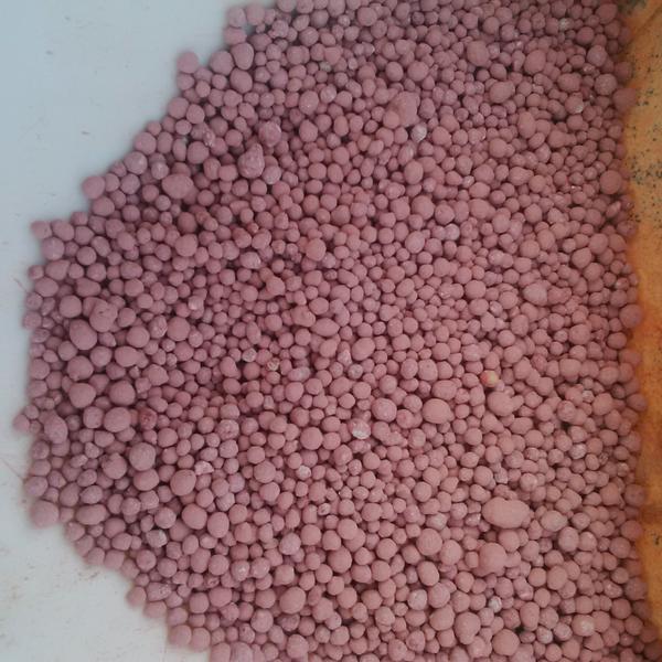 NPK N.PHOSKA pupuk pertanian non subsidi,monggo! <a href="/pertanian_ID/">pertanian_ID</a> <a href="/sawitku/">Petani Sawit</a> <a href="/relawan_P45/">Pendukung Arum Sabil</a> <a href="/BeritaJatengID/">Info Jateng</a> @TwitPertanian