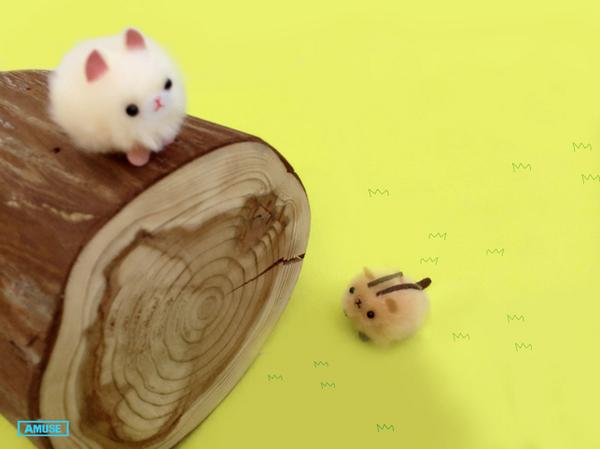 Amuseキャラクター 公式 りすさんとハムスターのふしぎな光景 森のともだち りすさん ハムスター 高見の見物 本当は仲良し 日常 Http T Co Cebr4lrhvq