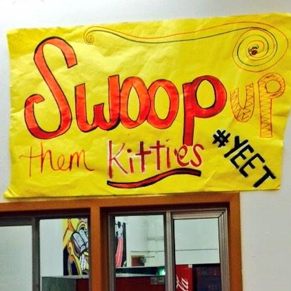 Maria_isso_cool's tweet image. #YEEEEEET 🐾👊💢