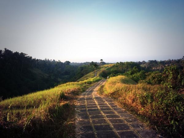 geoff_millar's tweet photo. This mornings hill reps up Campuhan Ridge. Beautiful...#runBali http://t.co/QLk3Qbclk7