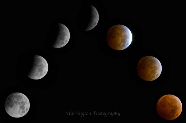 tylerdanephoto's tweet photo. #LunarEclipse #BloodMoon2014 #BloodMoonEclipse #photography http://t.co/9xVgea7w3f