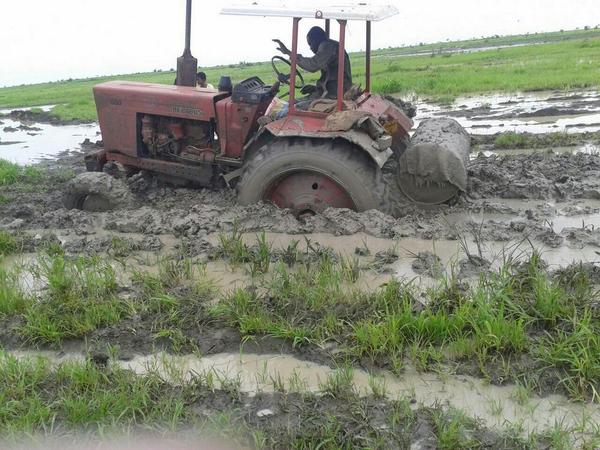 هيثم السيد ودالريف (@haithamelseed88) on Twitter photo 