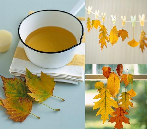 TuinenTerrasNL's tweet photo. Haal het mooiste uit de seizoenen! Geniet van de mooie kleuren van de vallende herfstbladeren en bewaar ze. #herfst http://t.co/hAX9V9H95X