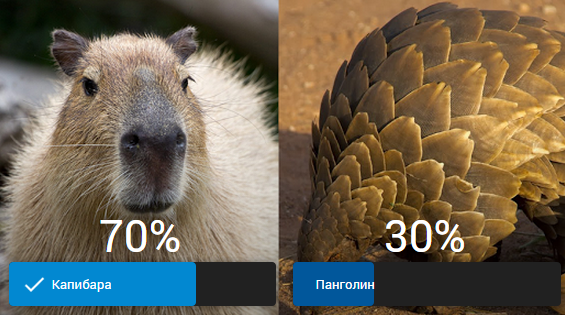 GoogleRussia's tweet photo. В Google+ появилась новая функция опросов. Попробуйте прямо сейчас по ссылке: http://t.co/rGyzgj9Khk. http://t.co/GwxFhGJm9U