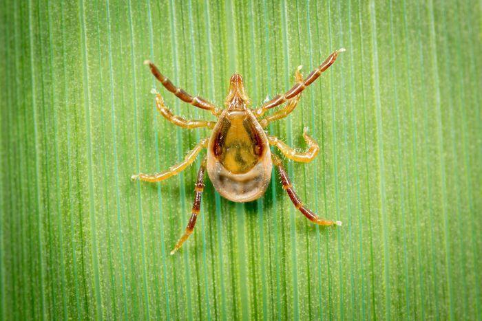 Embedded image permalink